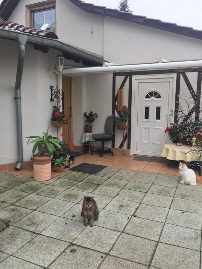 Appartamento Kleines Haus Im Oderbruch Neutrebbin Esterno foto