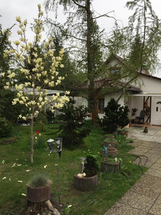 Appartamento Kleines Haus Im Oderbruch Neutrebbin Esterno foto