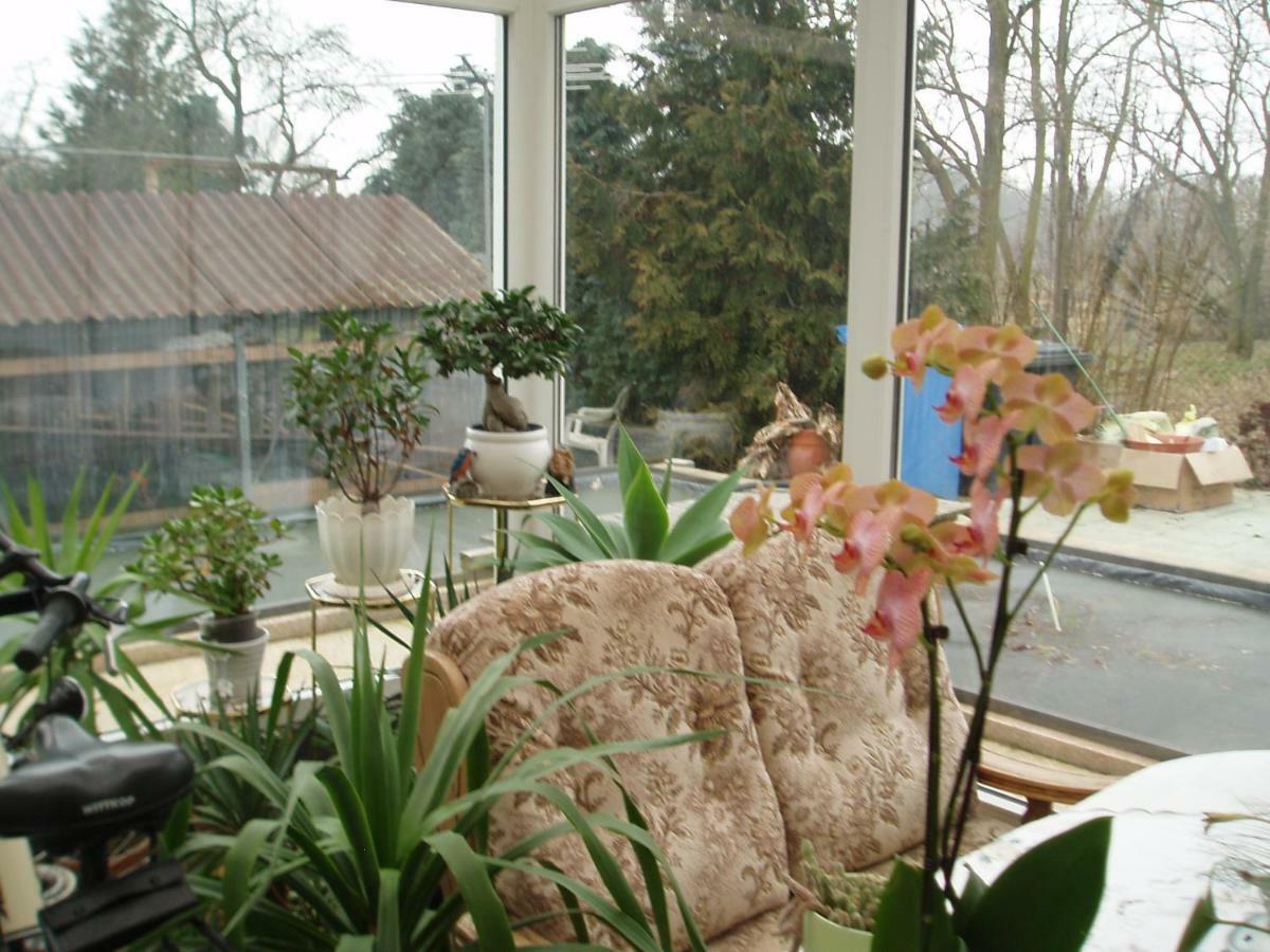 Appartamento Kleines Haus Im Oderbruch Neutrebbin Esterno foto
