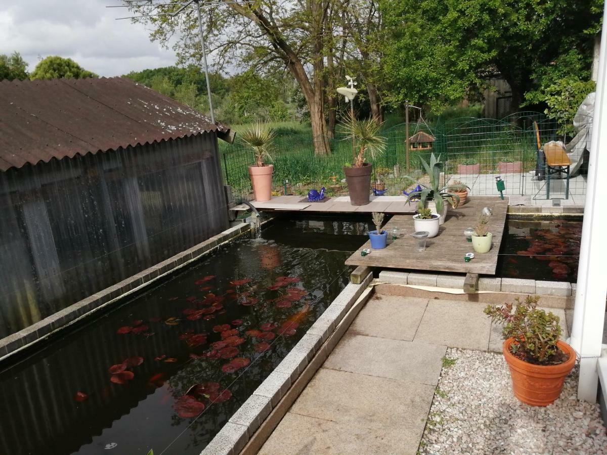 Appartamento Kleines Haus Im Oderbruch Neutrebbin Esterno foto