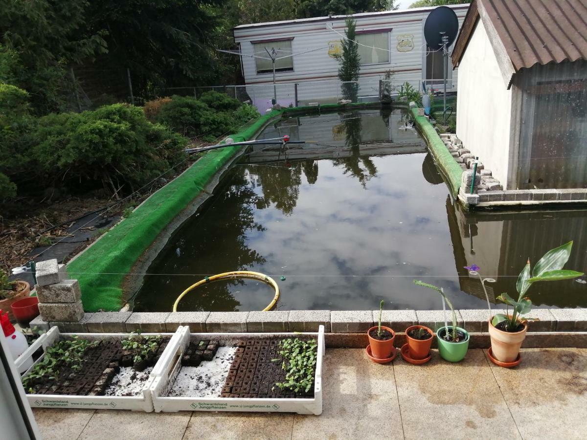 Appartamento Kleines Haus Im Oderbruch Neutrebbin Esterno foto